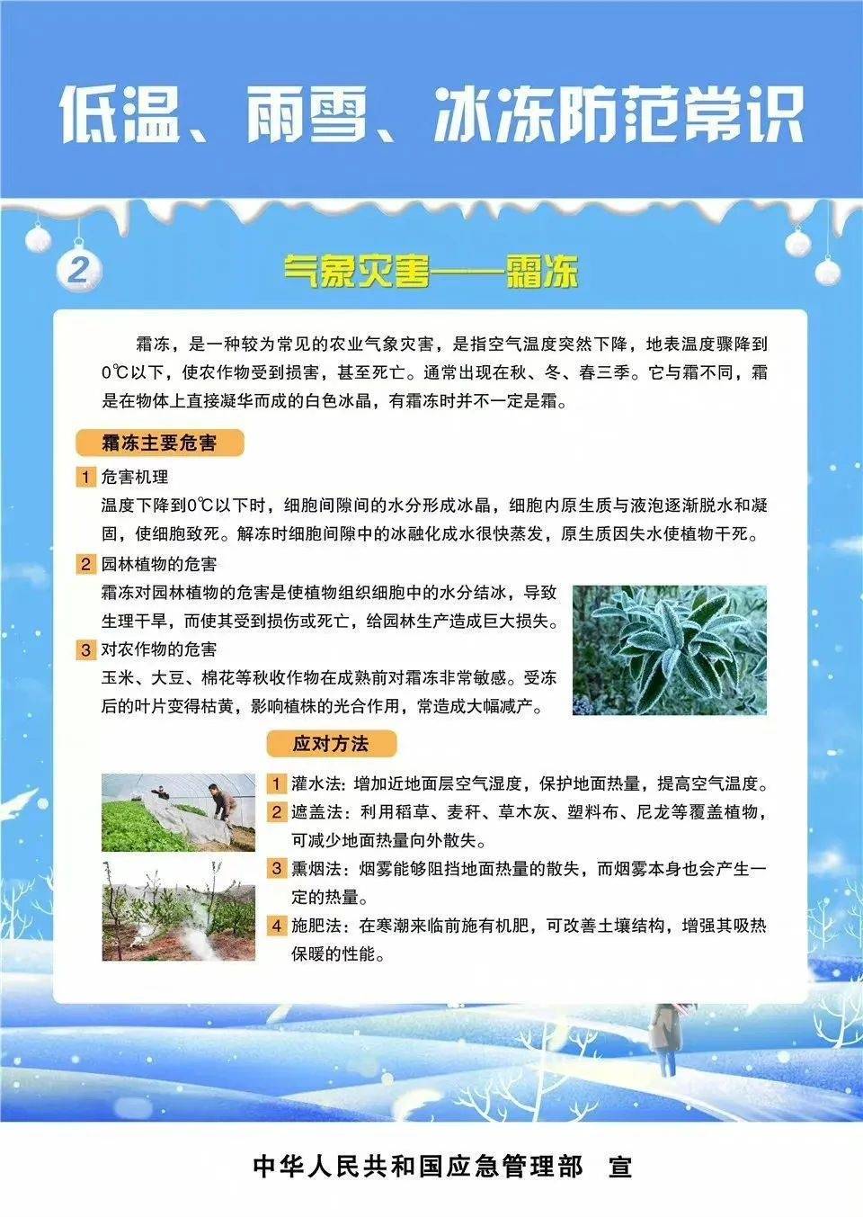 應急管理部通報表揚6起成功避險案例:涉及體育場館