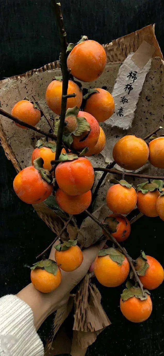 壁纸| 值得用很久的锁屏壁纸! 676767