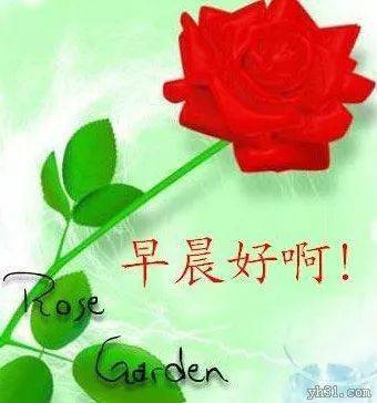 朋友群送的新版早上好问候语表情包 2023最美早安问候语短信大全_太阳