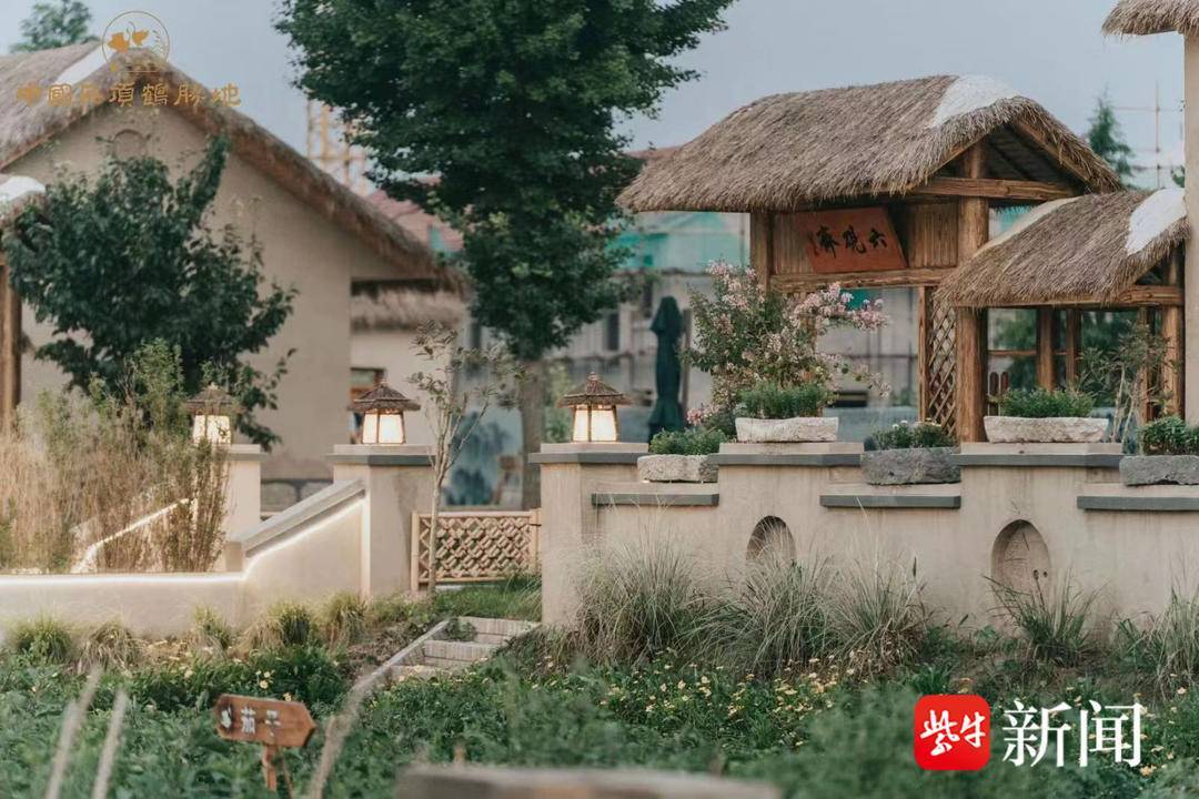 潮间带艺术村又添新荣誉_生态_世界_候鸟