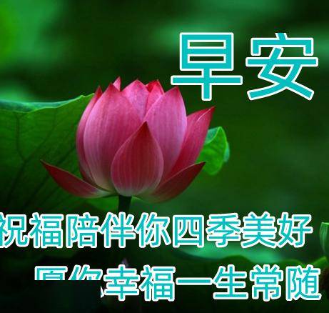 明日立春,早上好精选立春祝福图片带字早安问候语,祝您立春快乐,幸福