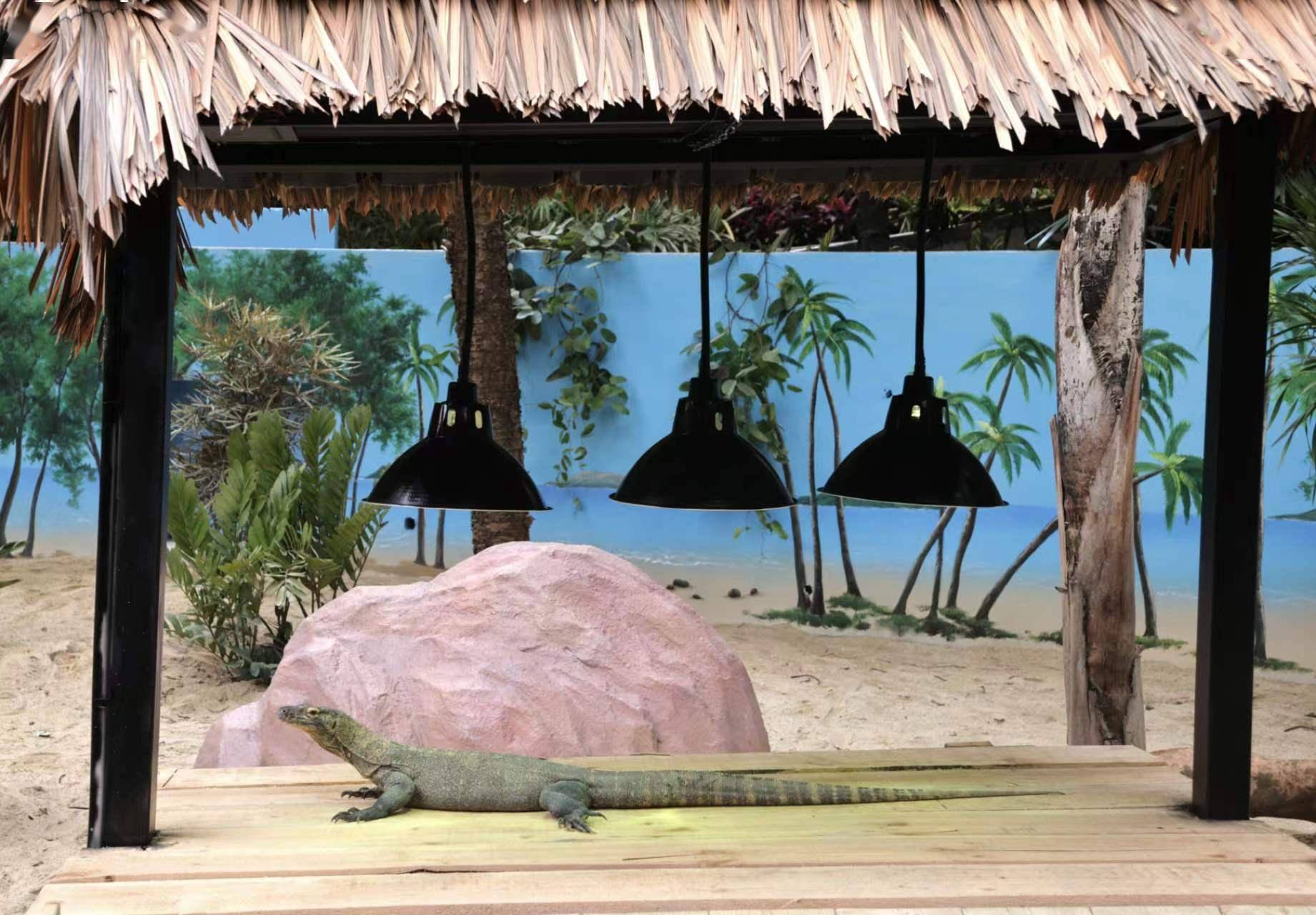 2月3日,长隆野生动物世界全新科莫多龙馆正式开馆迎客.