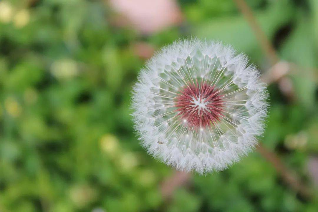 深到骨子裡的教養,藏在29個細節裡_電梯_時候_阿姨