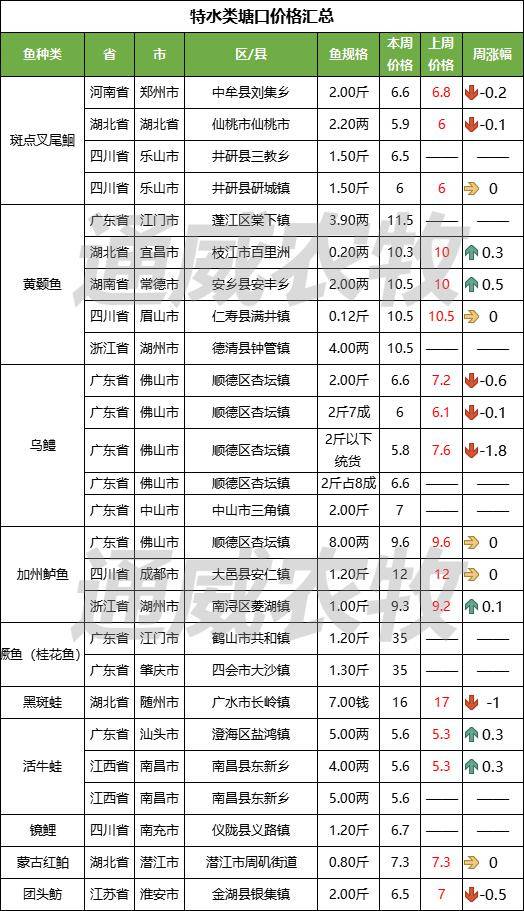 鳜鱼价格最新报价图片