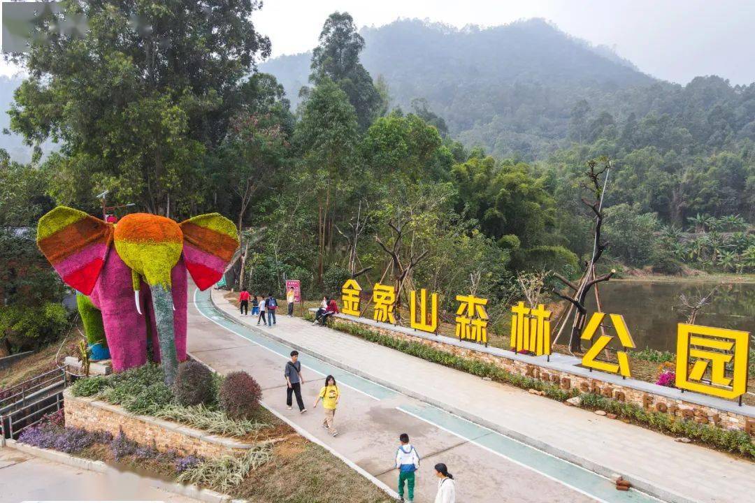 逛花市看马戏,金象山森林公园欢乐不停!