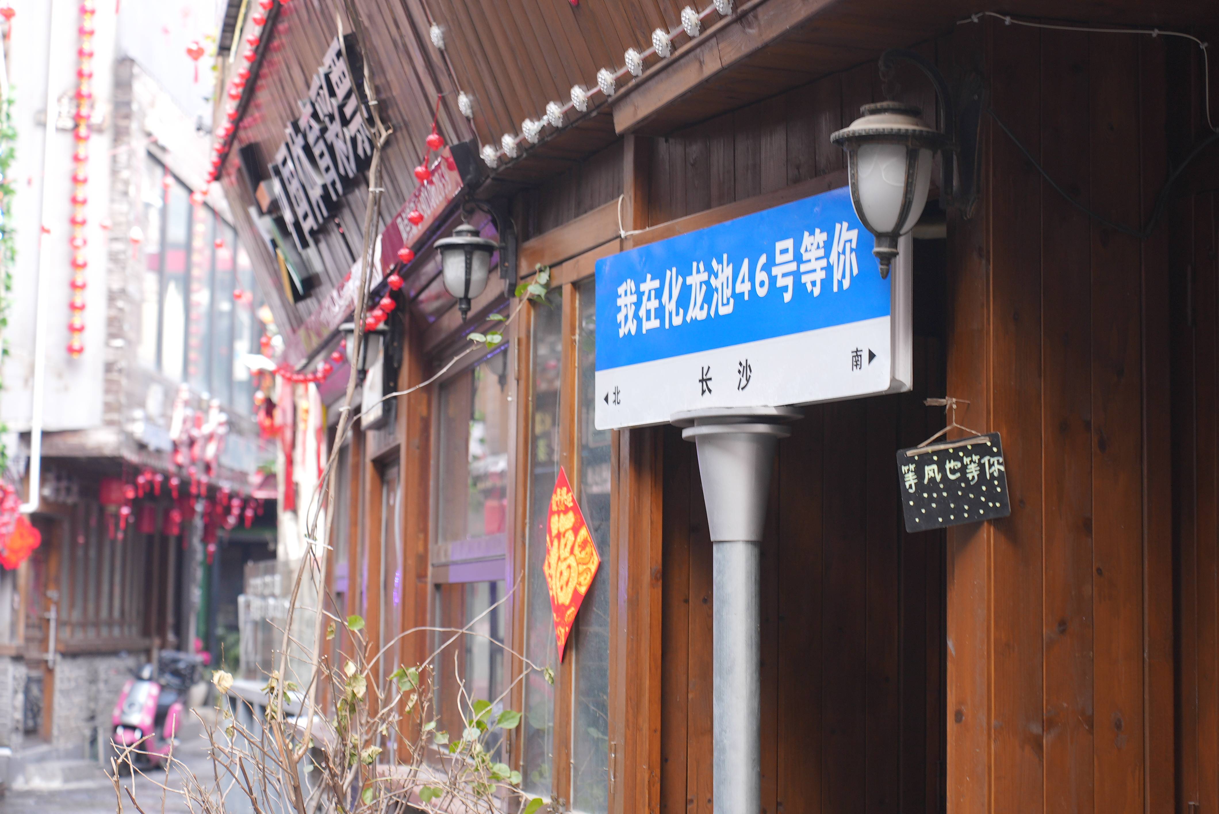 化龙巷网站建设 来自搜狐网