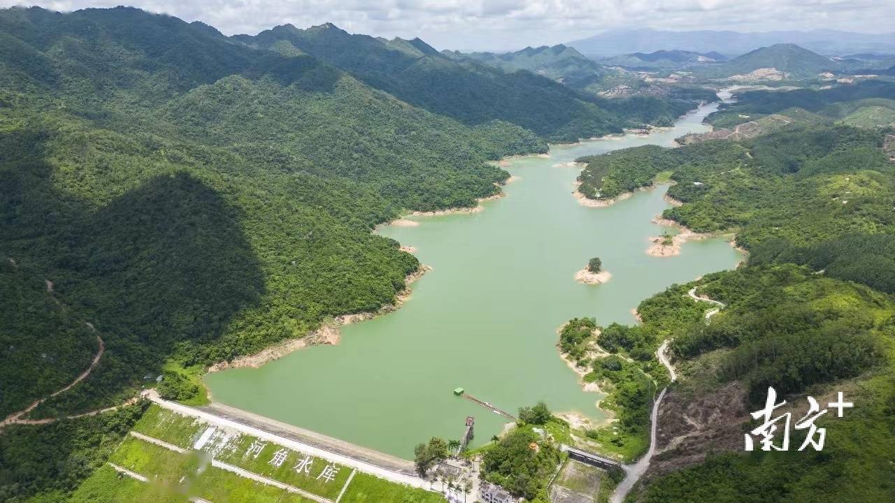 电白区马踏镇:植树添新绿,共绘绿美图_活动_绿化_全镇