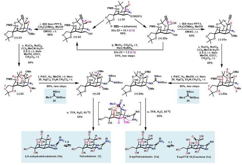 齐湘兵实验室:河豚毒素全合成_开发_选择性_药物