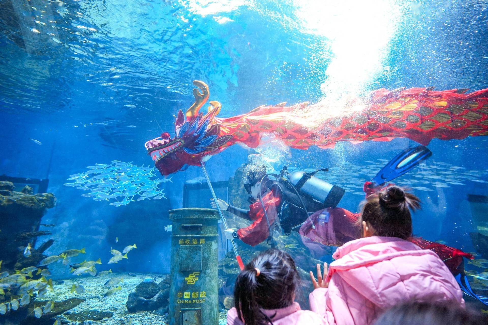 水下舞龙,非遗打铁花,球幕影院……武汉极地海洋公园新春好玩上新
