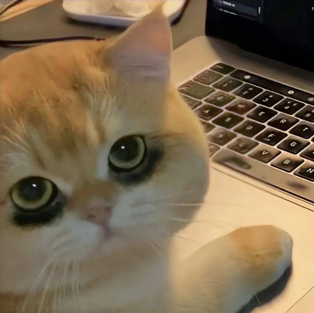 头像|私藏小众高级感ins风