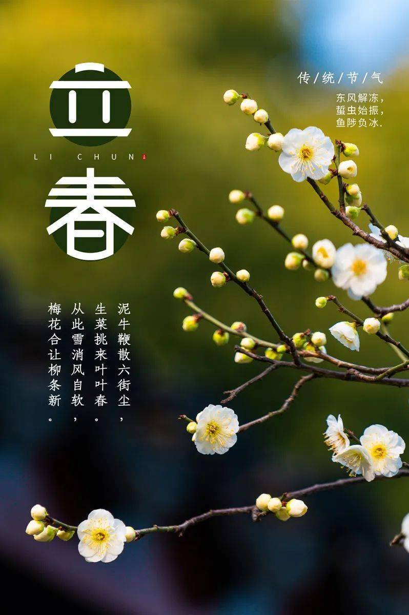 今天2月4日,立春祝福送给你_家庭_步步高_事业有成