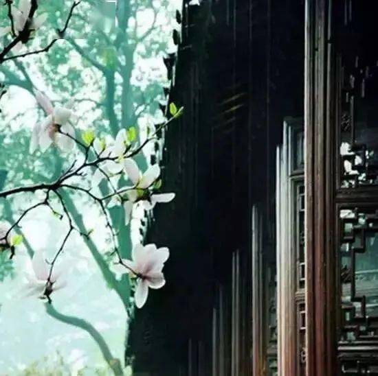 一ㄔ醇湮难缲55期社课·春之约_李春华_诗稿