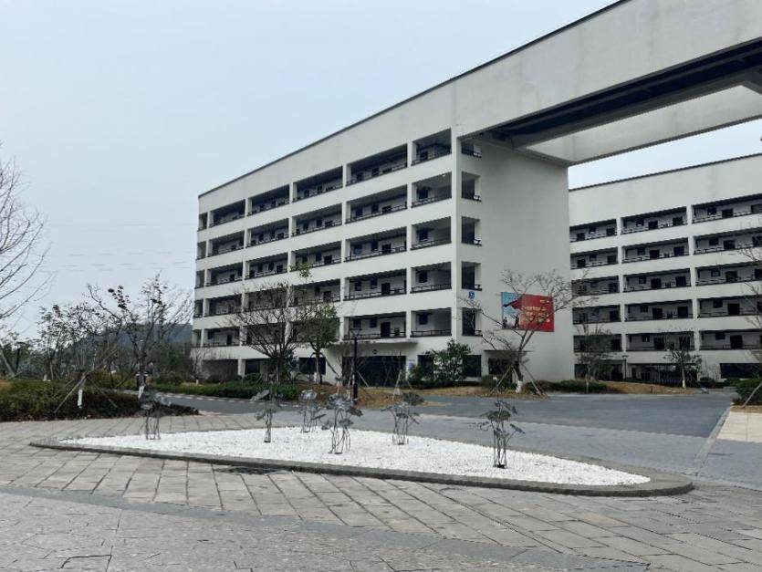 感恩母校行 (54)| 走进乐清柳市中学_活动_浙江省_发展