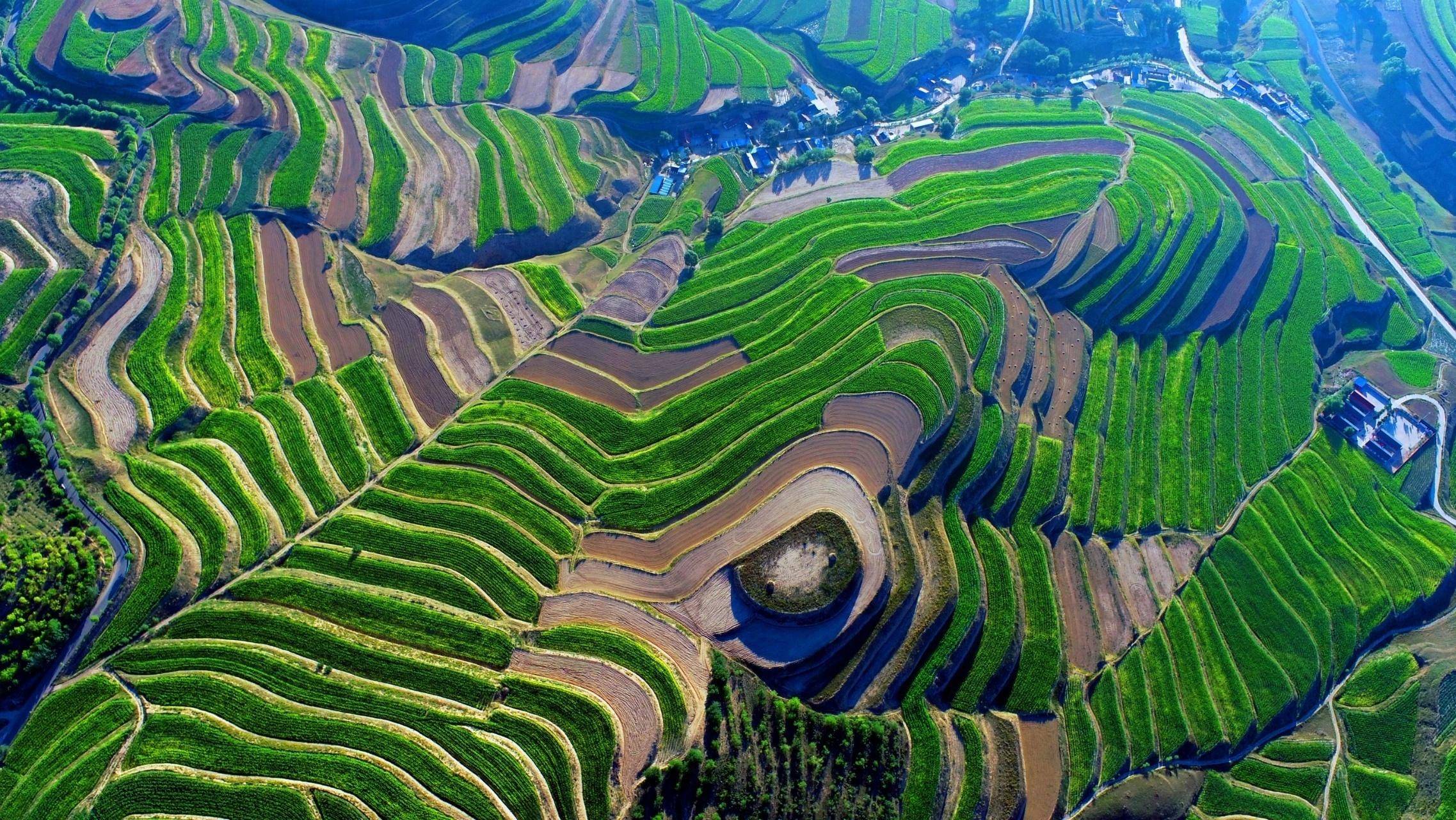 新春走基层