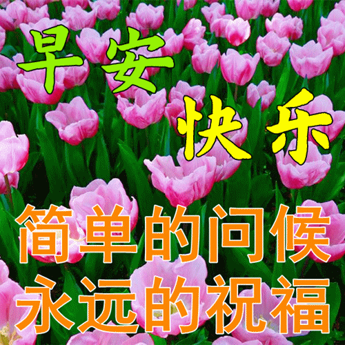 漂亮早上好动态表情图片大全!好运相伴,幸福相随!_朋友