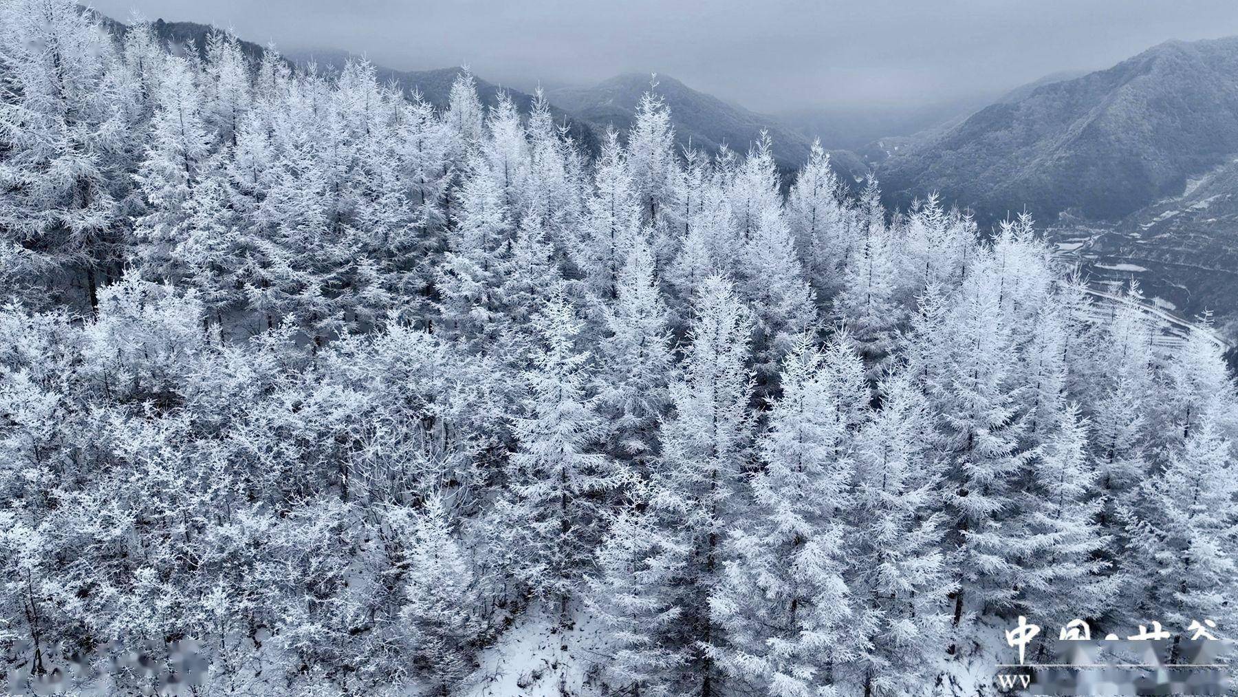 草原冬天雪景描述图片