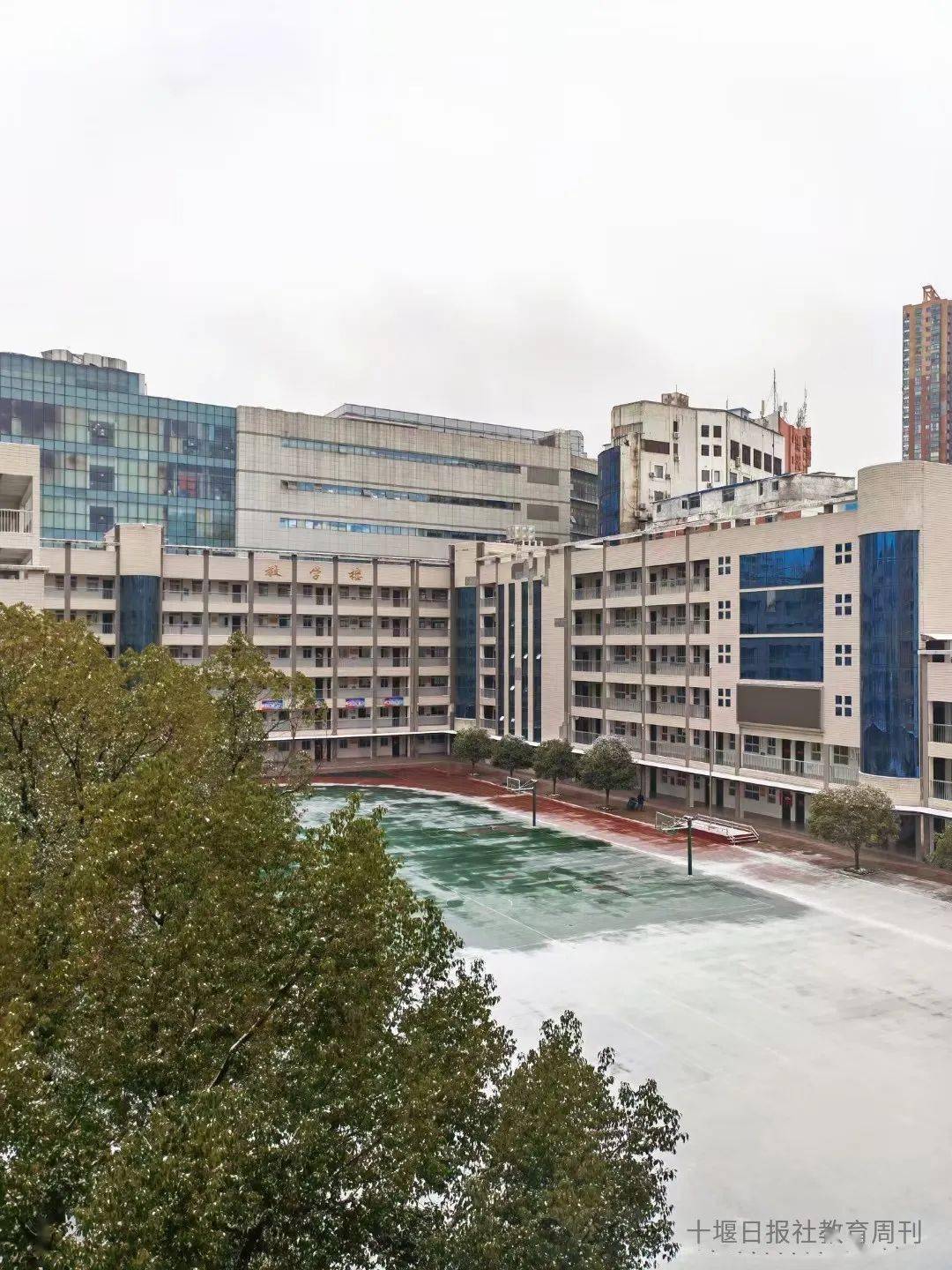 郧阳区大柳乡金叶希望小学(通讯员/杨婧)竹山县机关幼儿园(通讯员