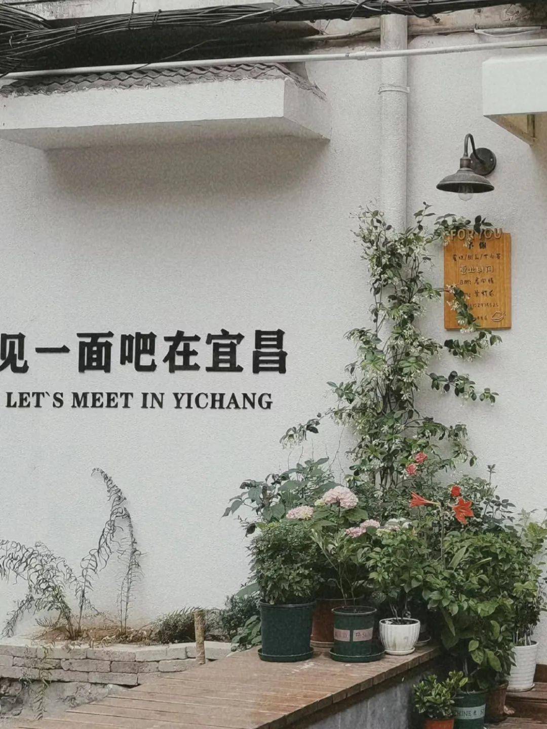 来电宜昌的龙年味儿,就等你了!_活动_作品_参与者