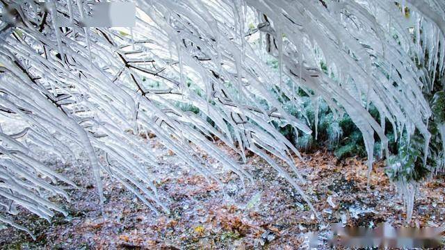 冻雨这种极端天气,不仅对交通运输有很大的影响,对电力输送,通信,越冬