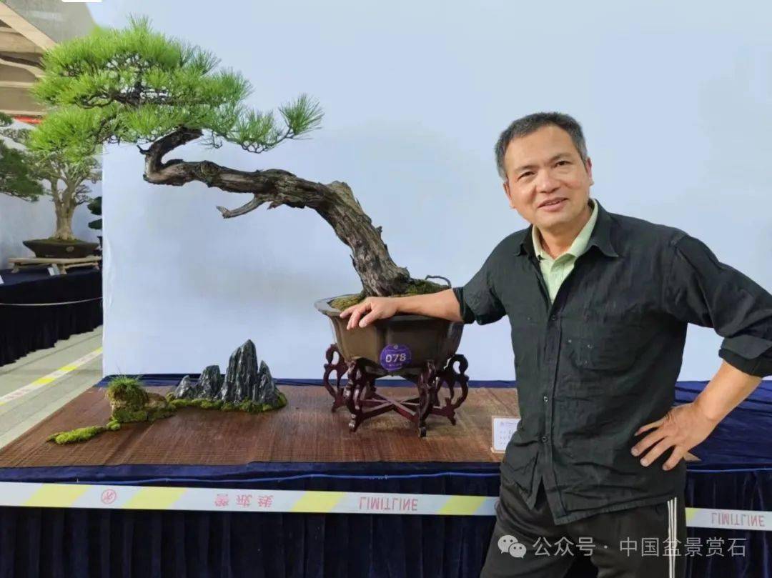 畅谈心声,共话"中国鼎"(14)——李小军,曹通,李志群这样说_盆景_作品