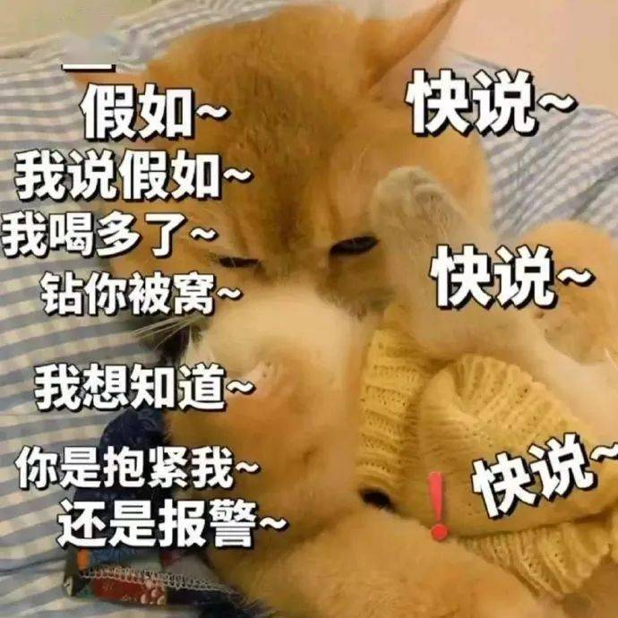 一键变傻丨第913期喵表情包