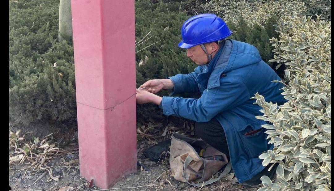 莒县乡村文化振兴|果庄镇:迎春灯饰亮起来,流光溢彩年