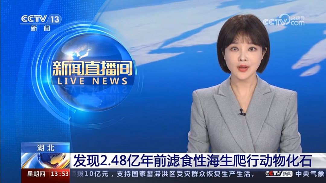 精彩202361中省媒体看远安_远安县_乡村_摘要