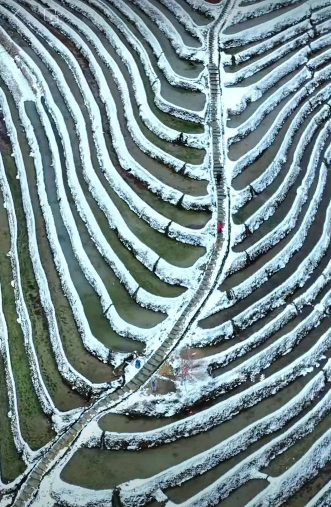 龙脊梯田冬天图片