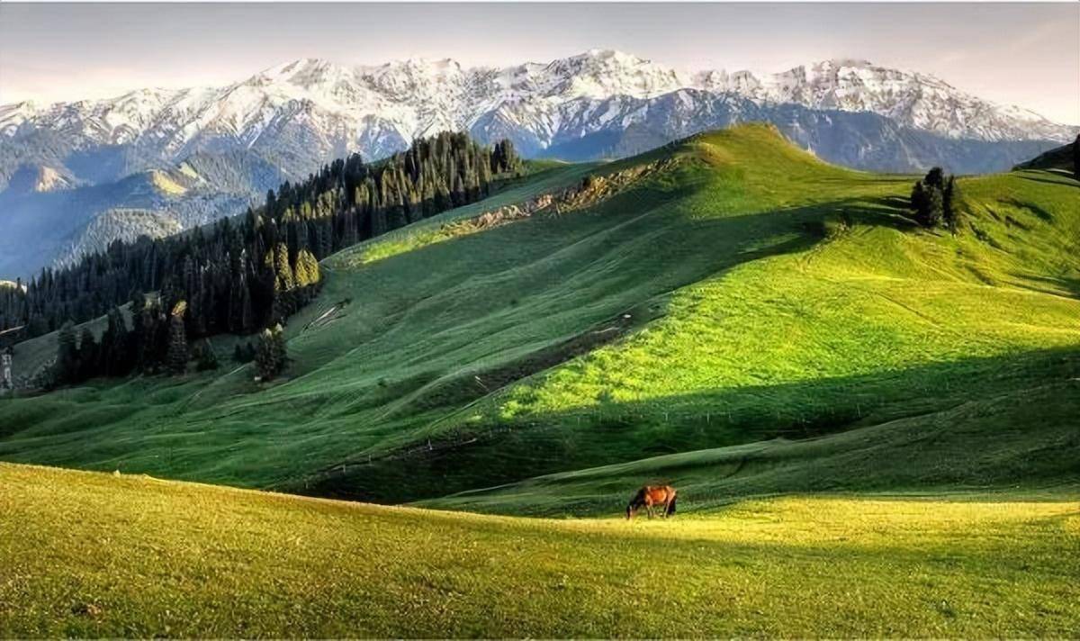 巩乃斯草原大山深处的伊甸园4.