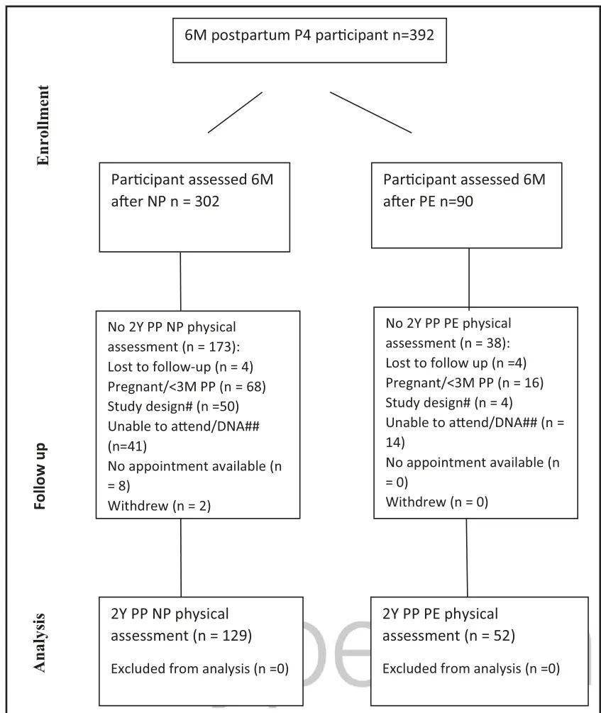 产后6个月和2年,使用血压计,24小时动态血压监测和无创中心血压测量