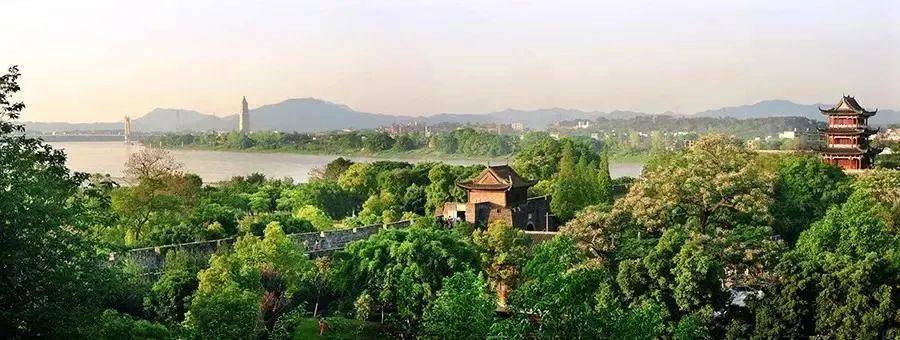 【徽韵江西】江西三大赏春胜地:婺源油菜花 赣州樱花