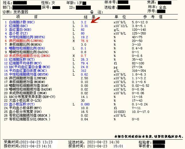骨髓_血细胞_诊断