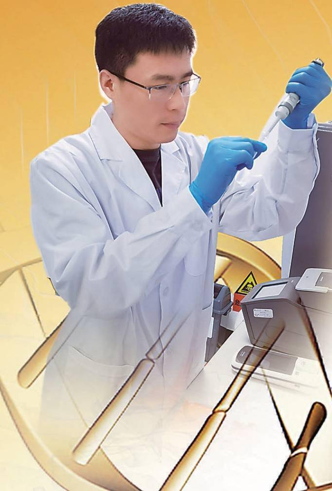 识骨寻踪_研究_宁超_遗址