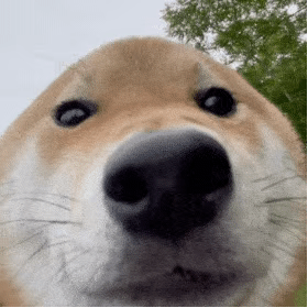 微信热门表情包:差不多行了啊_公众_生命_人生