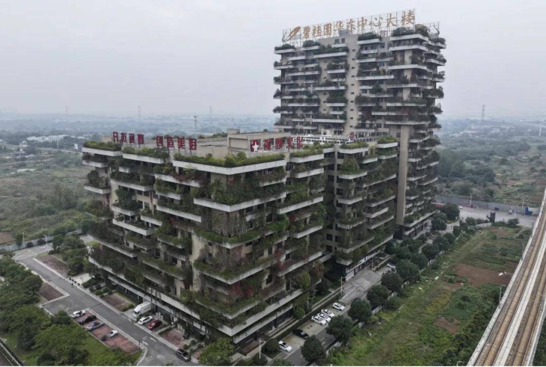 杨惠妍接过一个烫手山芋_杨国强_碧桂园_父亲