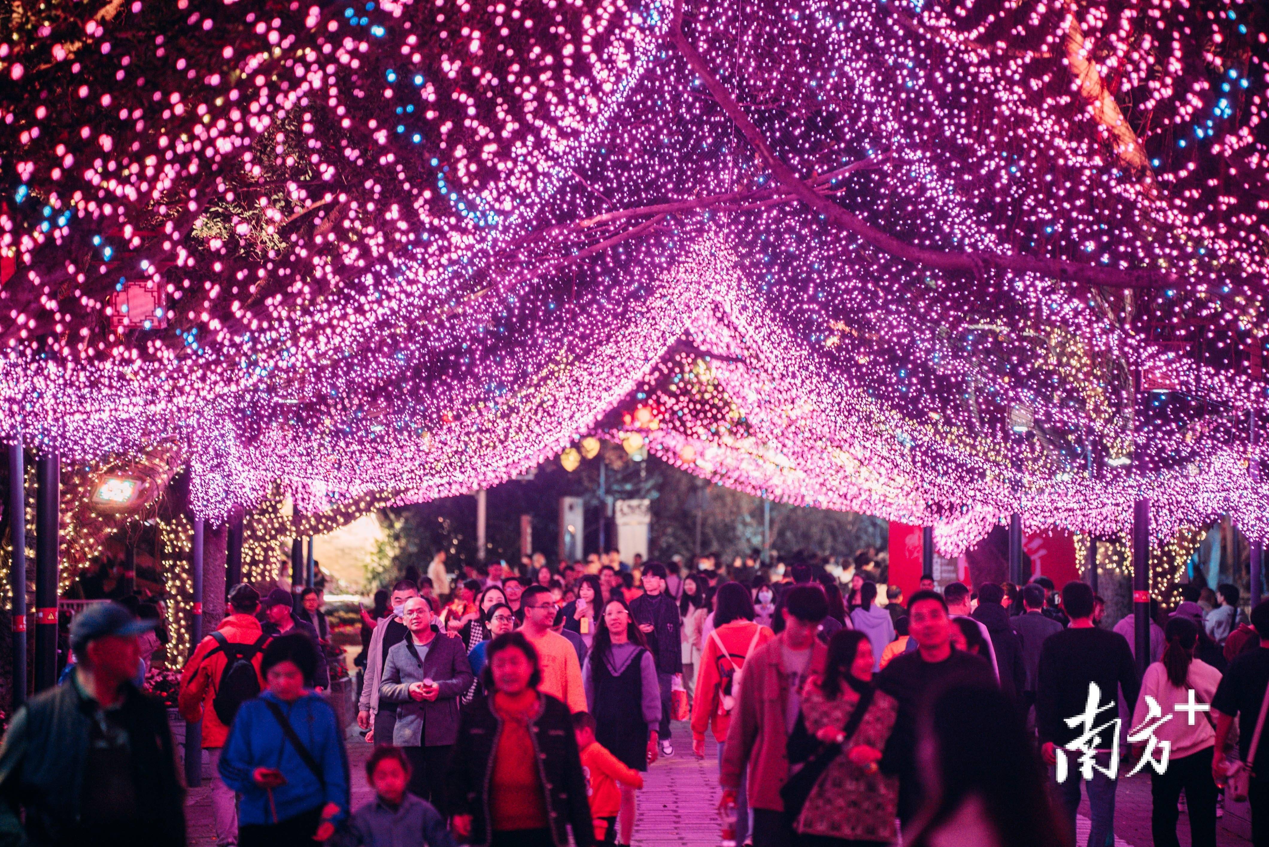 惠州西湖 花灯图片