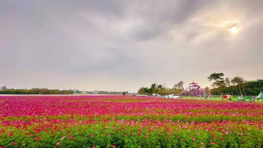 北海花海景点在哪图片