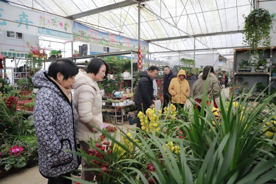 安顺花卉市场年味浓,市民购买鲜花过年成时尚_人们_氛围_花鸟