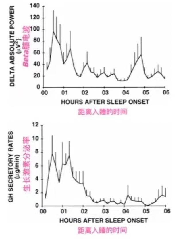 生长激素分泌时间图图片