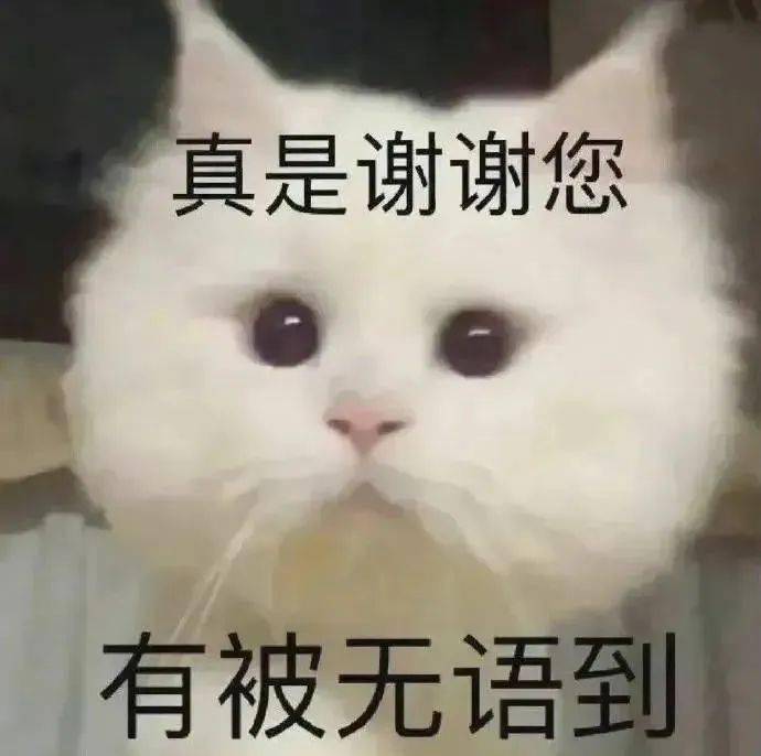 可爱沙雕表情包:可以给我看看那个吗?_公众_il_熊猫头