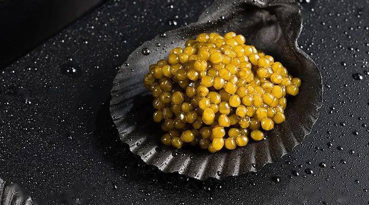 对不起,西方人爱吃的鱼子酱是我们中国产的_柯普罗