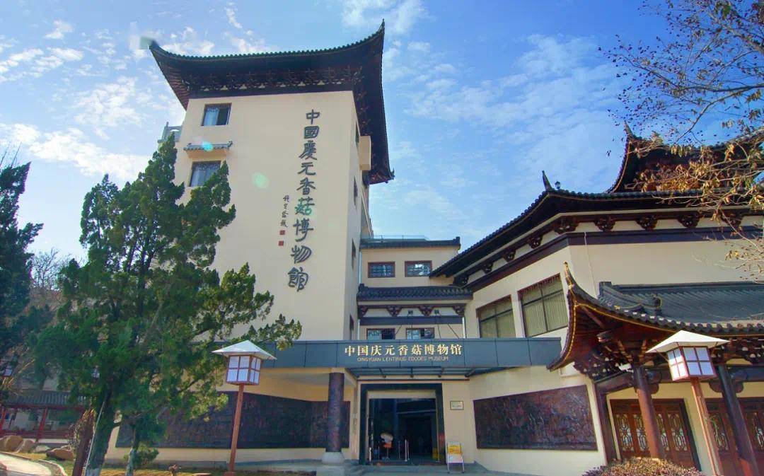 活动_莲都区_处州