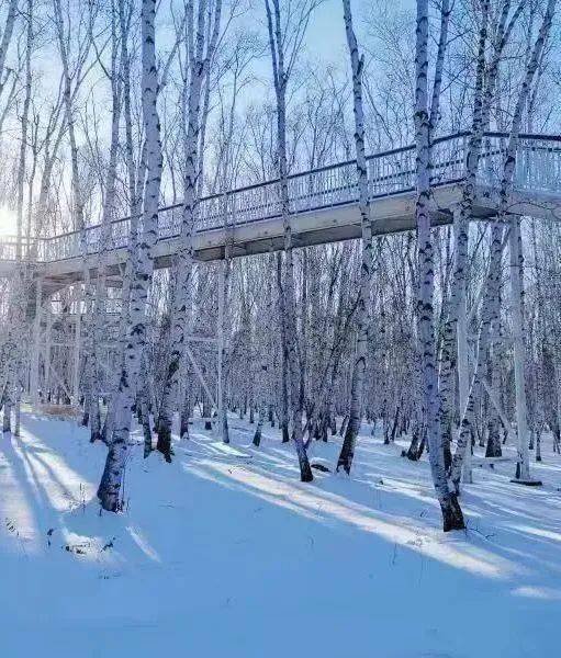 春节期间营业时间可能适当延长)营业时间:6:30-20:30吊桥公园营业时间