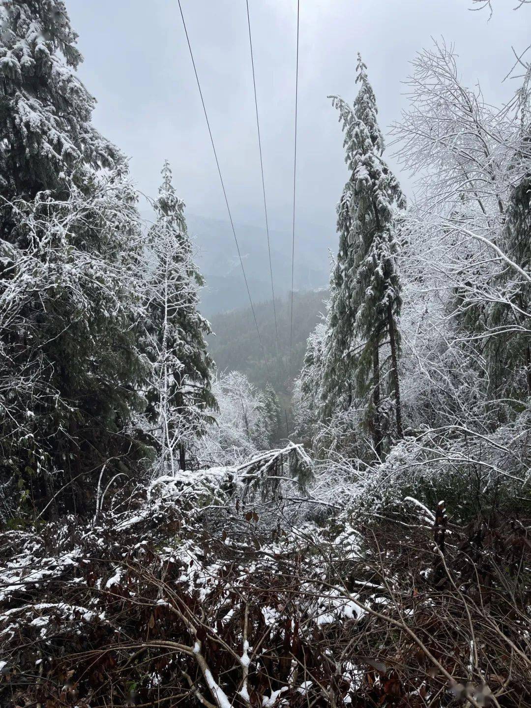 春节我在岗