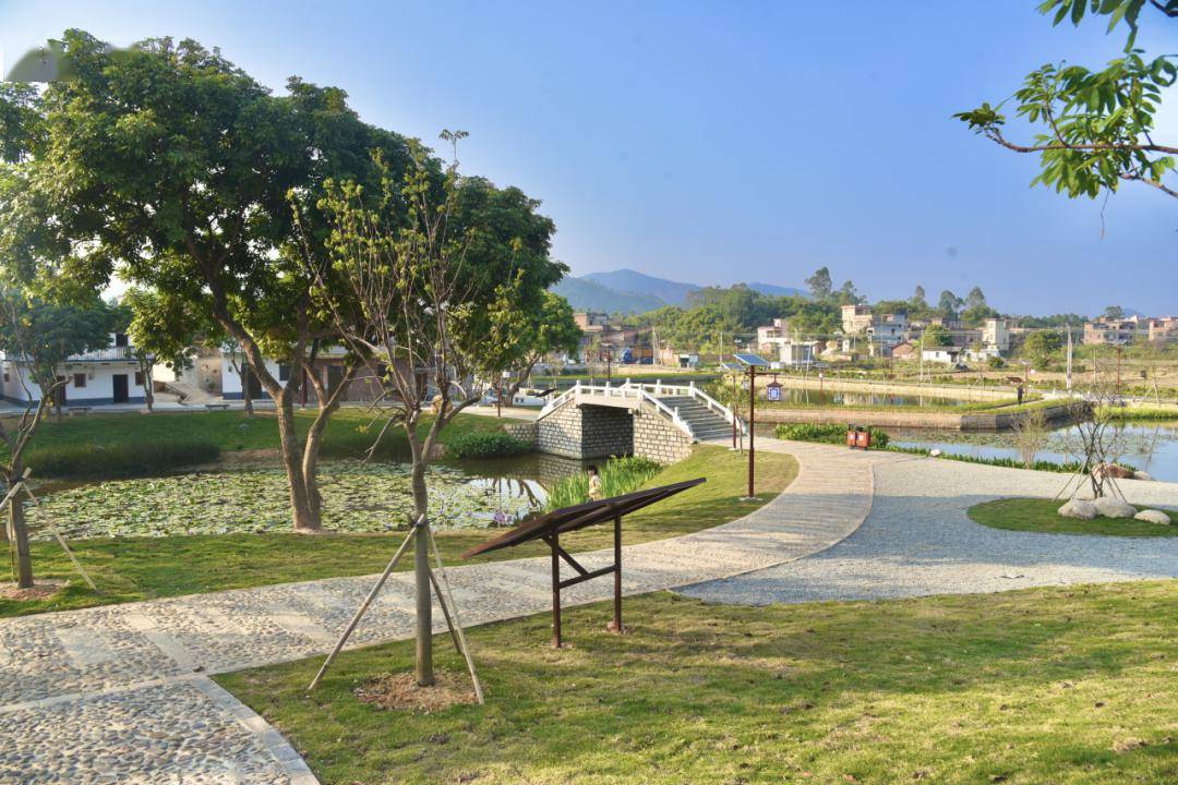 【聚焦"百千万工程"】新兴县水台镇:和美乡村有"面子",幸福生活有"