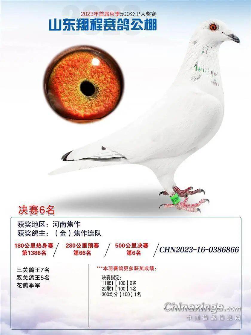 0509601白花热身赛游棚,预赛上笼参赛拿下539名,决赛一鸣惊人获得季军