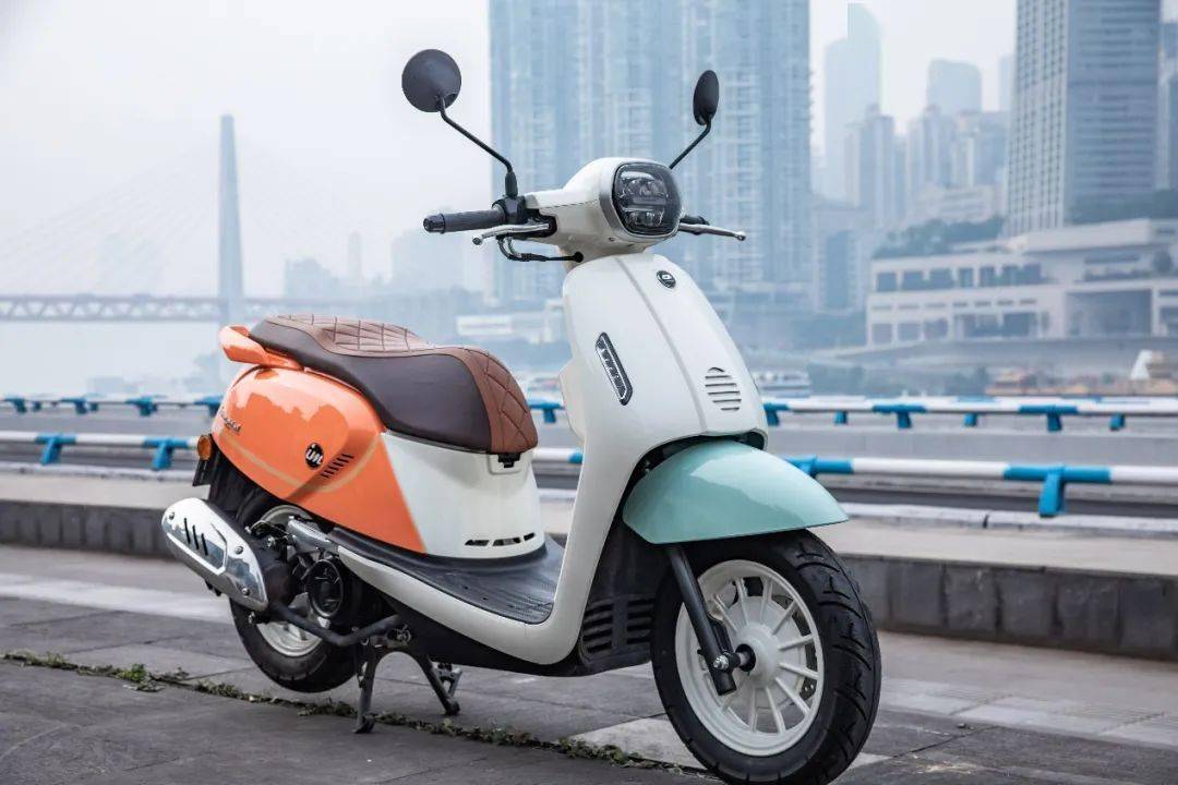 中小排量爆发式增长,大排一枝独秀——2023年度国内在