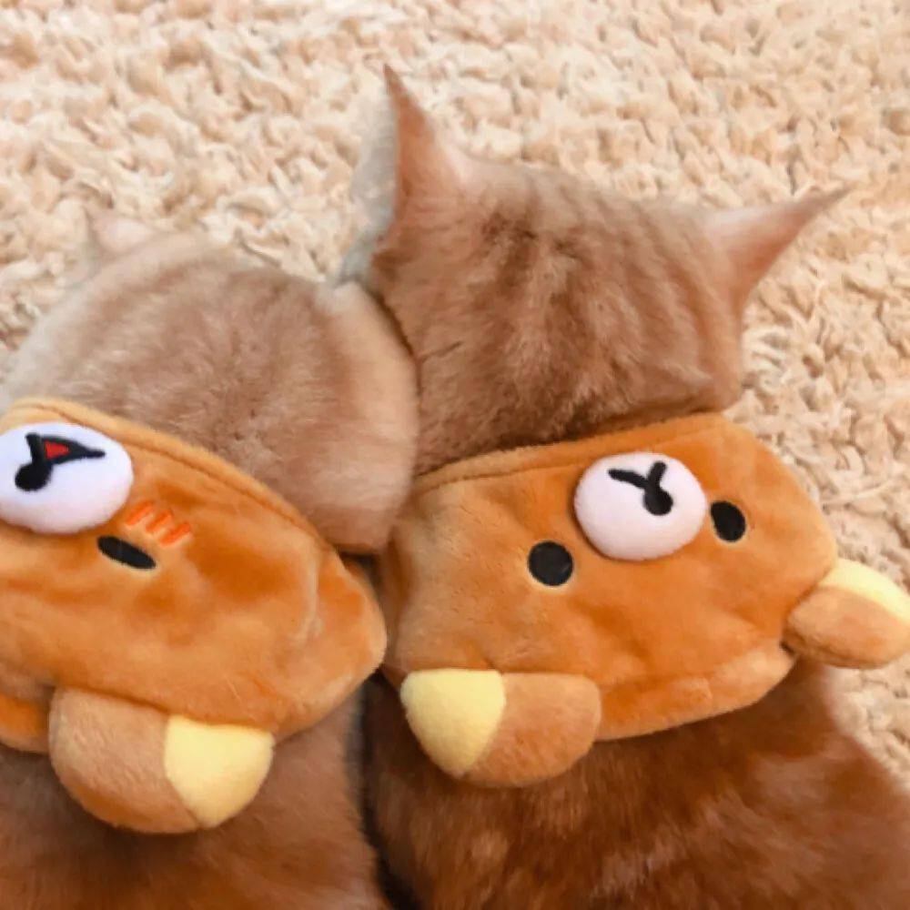 头像| 超甜的情头_一生_话说_生活