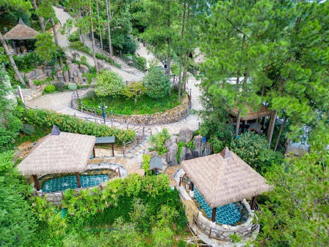 日均063xx!尊享西溪森林温泉度假村a/b栋温泉客房,私泉入户!