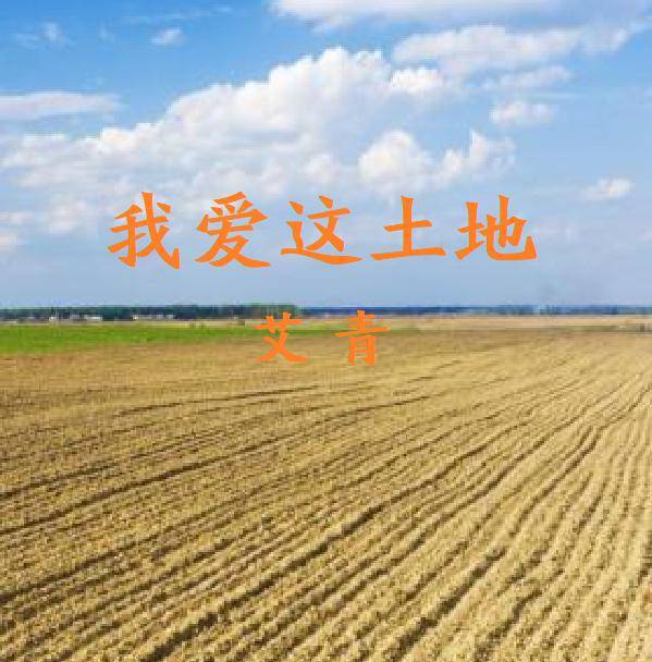 艾青:《我爱这土地》_情结_泪水_祖国